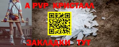 тгк Новодвинск