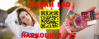 тгк Новодвинск