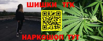 тгк Новодвинск